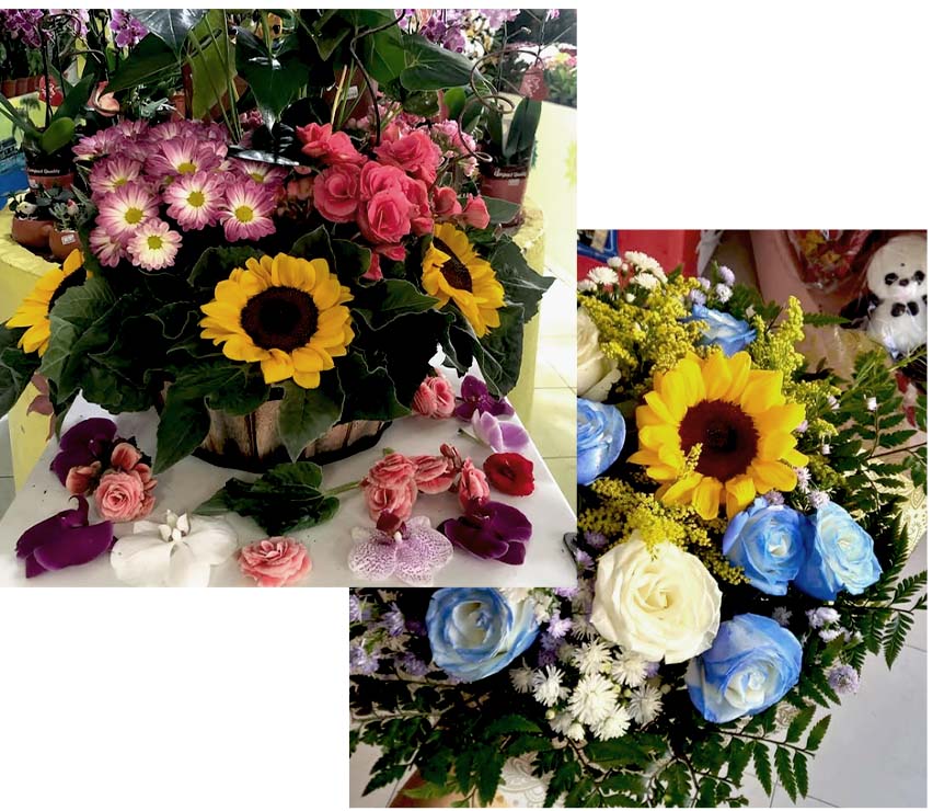 Inicio-Intro-Home-edit-flowers-picture